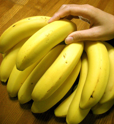 【悲報】バナナが高級品に？ 新パナマ病感染拡大で価格上昇