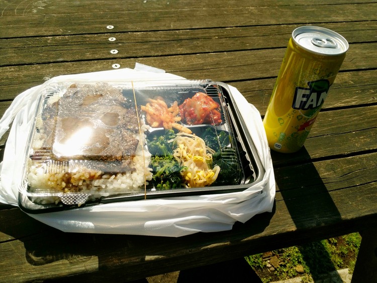 【朗報】ワイニート　公園でのどかにお昼ご飯
