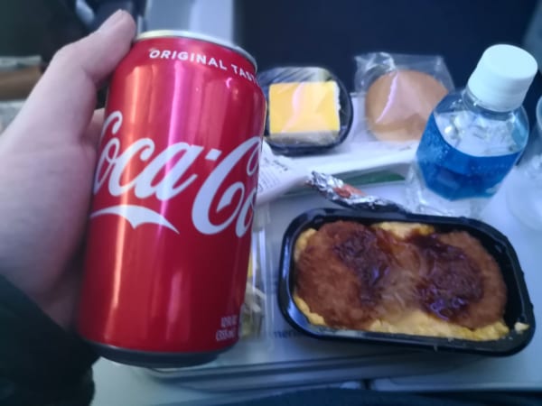 アメリカン航空の機内食で出る『謎カツ丼』 が激ヤバ！　日本人がビビる味つけとは