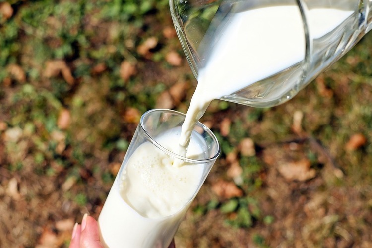 牛乳　高齢者ほど愛飲　高い健康意識　「毎日」　65～79歳半数　Jミルク調査