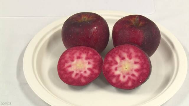 【画像】“世界で最も赤いリンゴ” 信州大学でお披露目　芯まで真っ赤！
