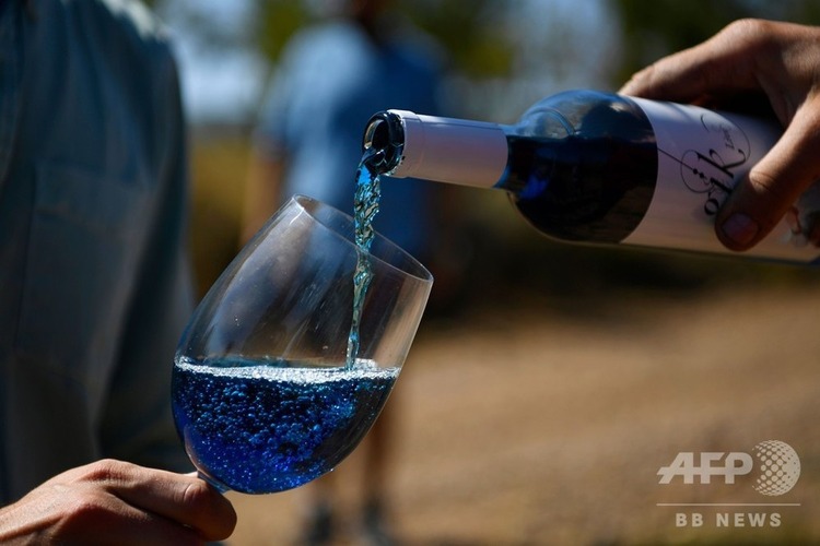 スペイン企業が作った「青ワイン」、世界各国で人気上昇中