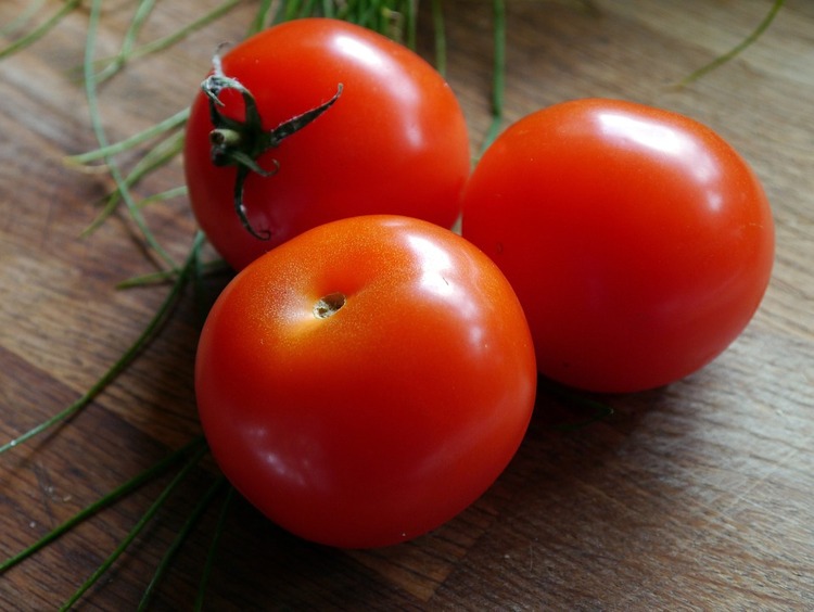 トマトが豊作だよ！　卸１キロ２６０円
