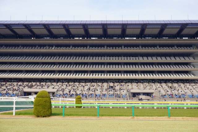 競馬場でなに食べてる？