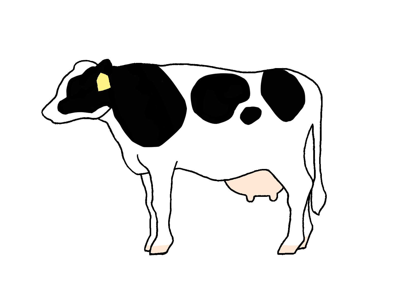牛をペットにすれば毎日牛乳飲み放題牛肉食べ放題という現実