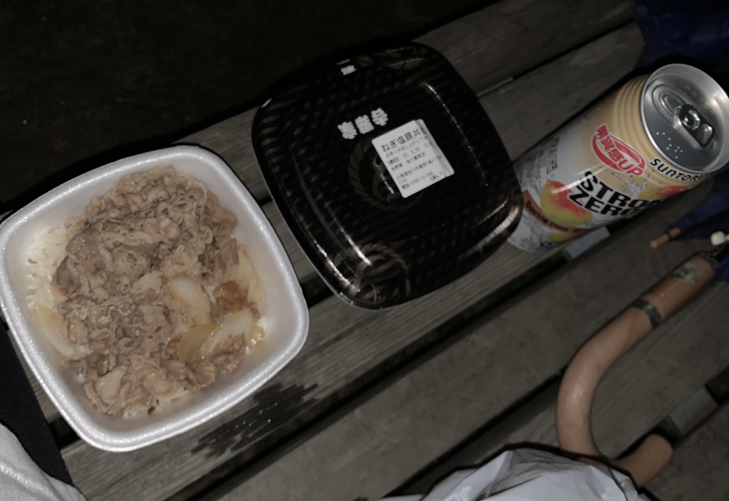 【画像】ニートが公園でぼっちで吉野家パーティしてる