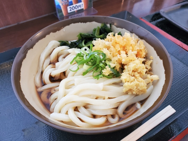 やっぱりうどんは冷水でしめたやつをそのまま食べるのが美味だね