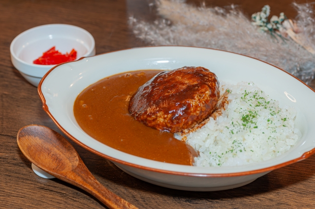 「カツ+カレー」が戦闘力2000だとしたら「ハンバーグ+カレー」は2800はあるのにあんまり話題に上がらないよな？