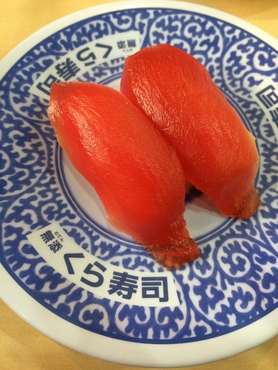 salmon-sushi-1304625_960_720