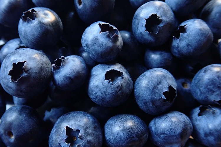 blueberries-3682754_960_720