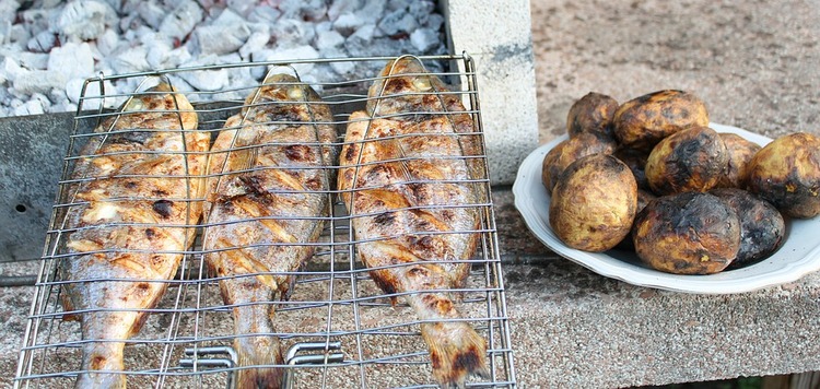 grilled-fish-3779810_960_720