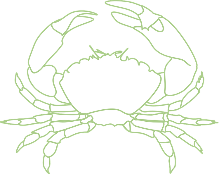crab-296820_960_720