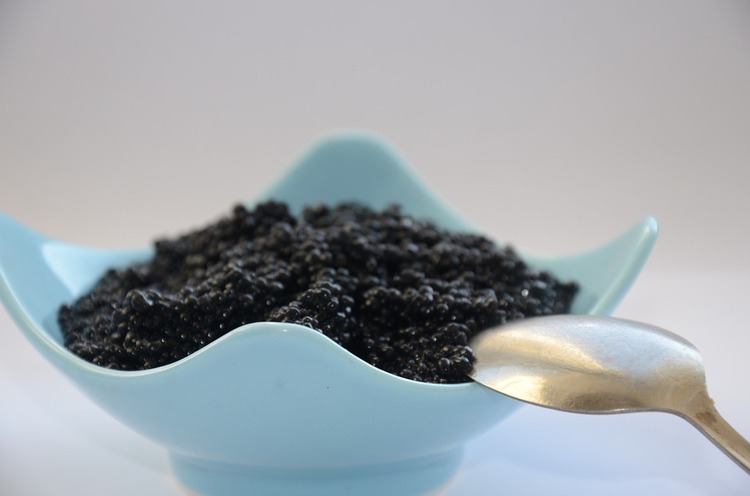 black-caviar-2315829_960_720