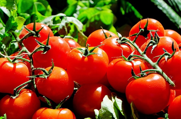 tomatoes-1280859_960_720